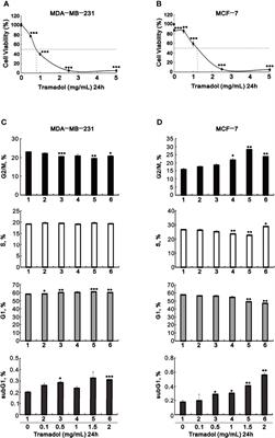 Antitumorigenic Effect of Tramadol and Synergistic Effect With Doxorubicin in Human Breast Cancer Cells